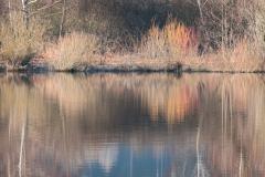 Kirnbergsee, morgens