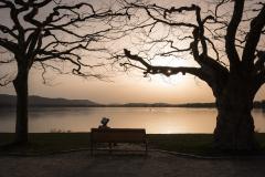 Radolfzell, Abendstimmung